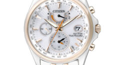 citizen promaster